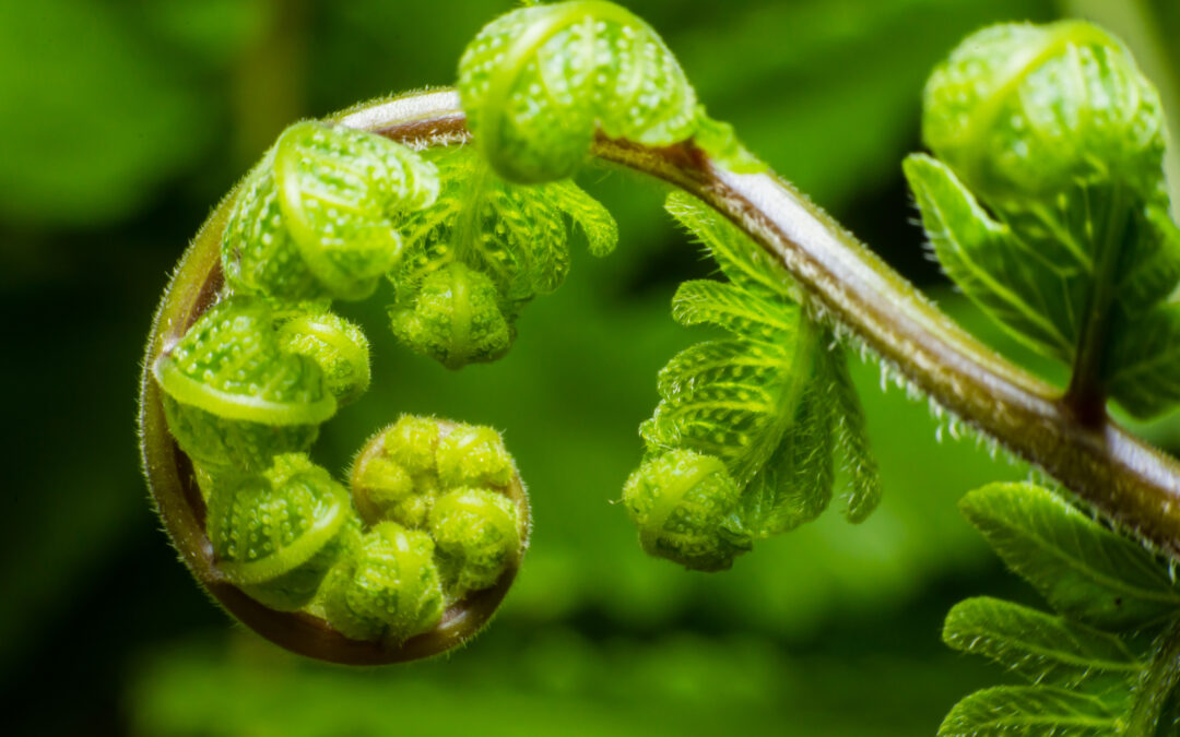 Creative Therapies That Support Healing from Addiction