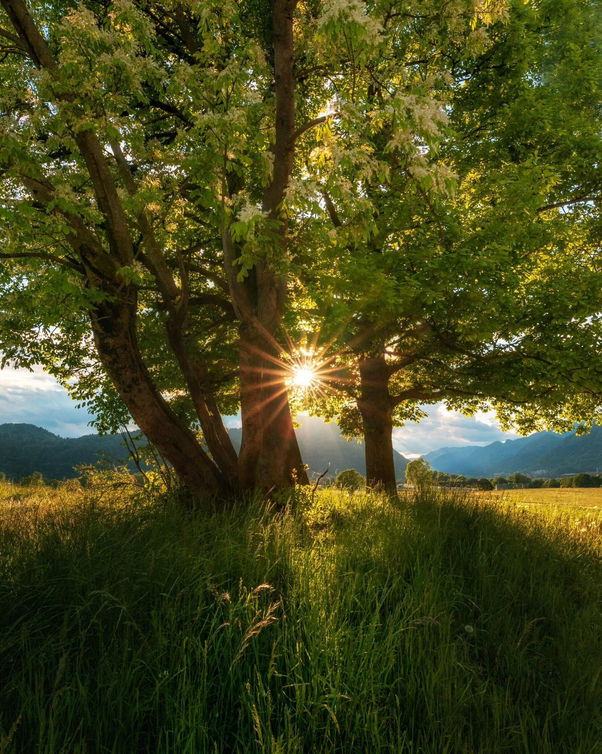 ales-krivec-1TSaDFK0Sow-unsplash